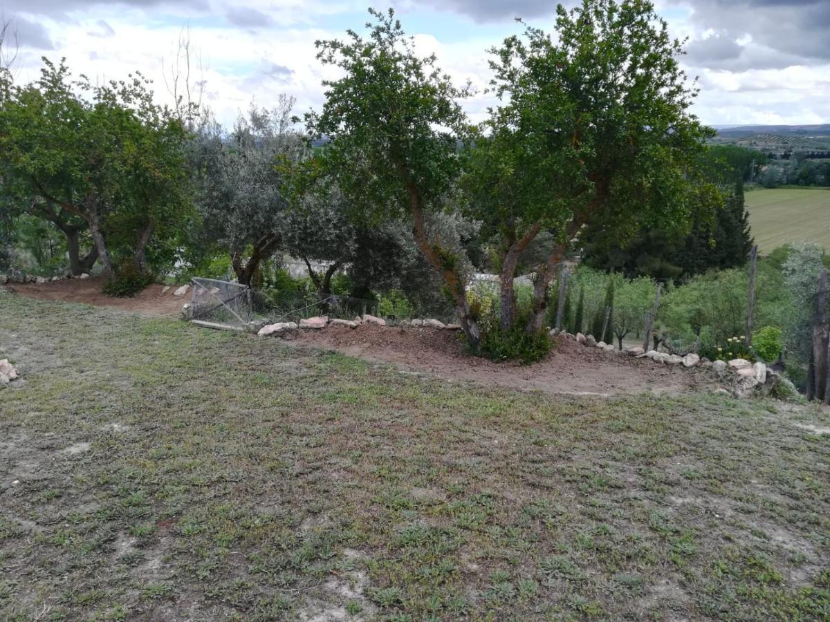 Casa Rural San Rafael Lachar Exterior photo